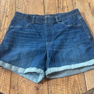 Judy Blue Denim shorts